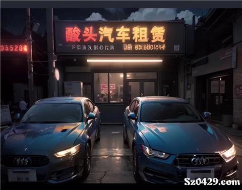 綏中酸頭汽車租賃 便捷出行，專業(yè)服務(wù)